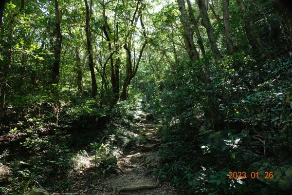 屏東 獅子鄉 里龍山(里隆山、里瀧山、鯉龍山)、下里龍山2018515