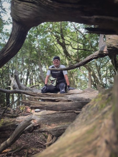 船型山林道賞雲海、烏石坑山、2432峰 山景海景一次到位2929304
