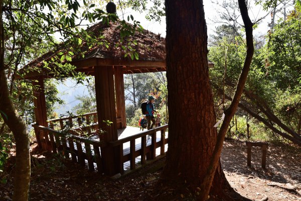 德芙蘭步道- 東南稜-東卯山O型縱走1269302