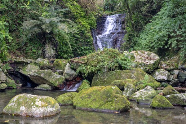 礁溪 五峰旗-跑馬古道3029604