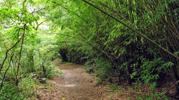 八煙,魚路古道,絹絲瀑布1783940