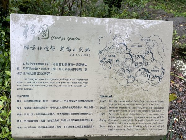 台北大縱走第一段2738409