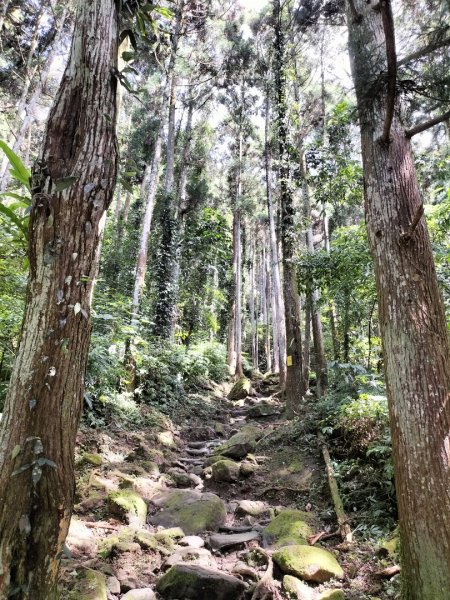 五指山登山步道2269245