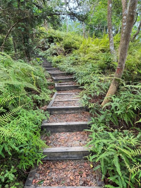 埔里能高瀑布-慶安步道-觀景台2801473