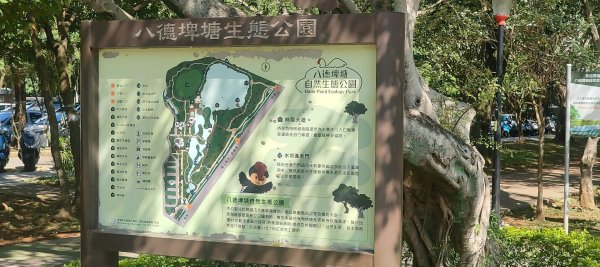 八德埤塘生態公園2890752