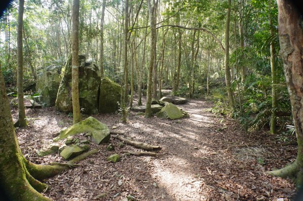 苗栗 泰安 上島山3023049