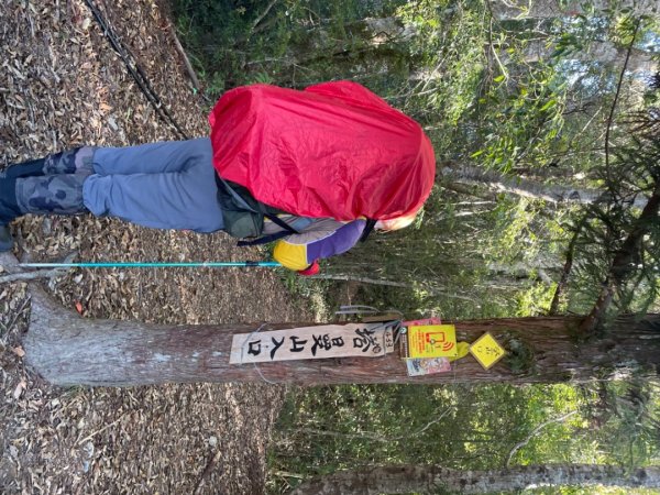 塔魔巴2天1夜來回/復興尖-四稜溫泉2357240