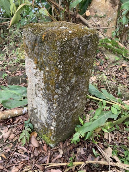 20250120高雄三縣界山-河表湖山-拉比嶺山-玉打山2697473