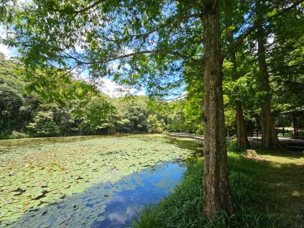 福山植物園 - (宜蘭)臺灣百大必訪步道2557619