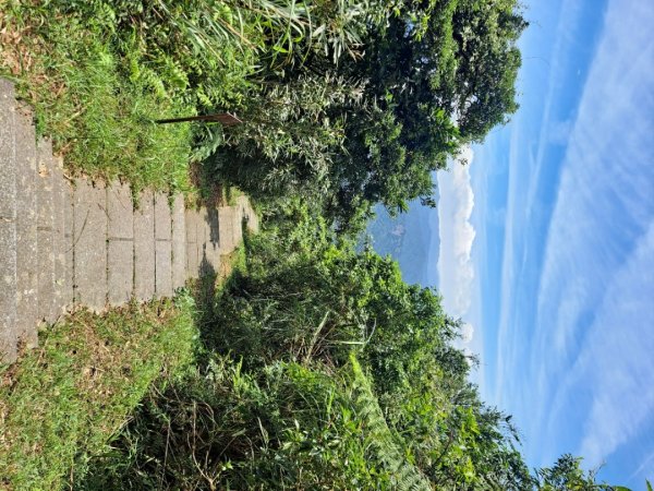 20230911淡蘭古道中段：五分山步道-暖東舊道2446786