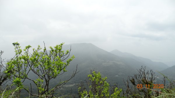 沒有意外，再度槓龜 !876557