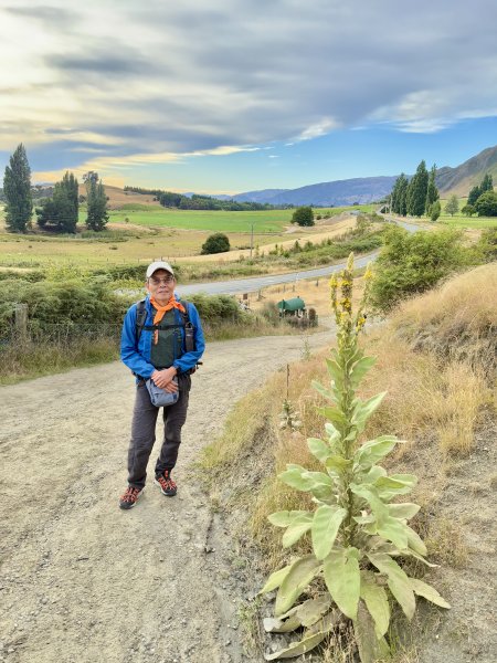 紐西蘭之旅-羅伊峰（Roy Peak ）Hiking 2025.1.282709637