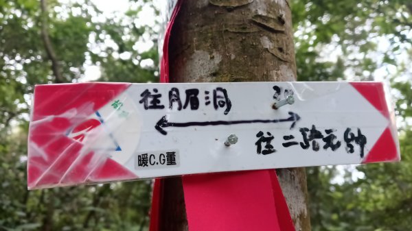基隆市月眉洞步道-仙洞湖山-姑娘廟P字走3121995