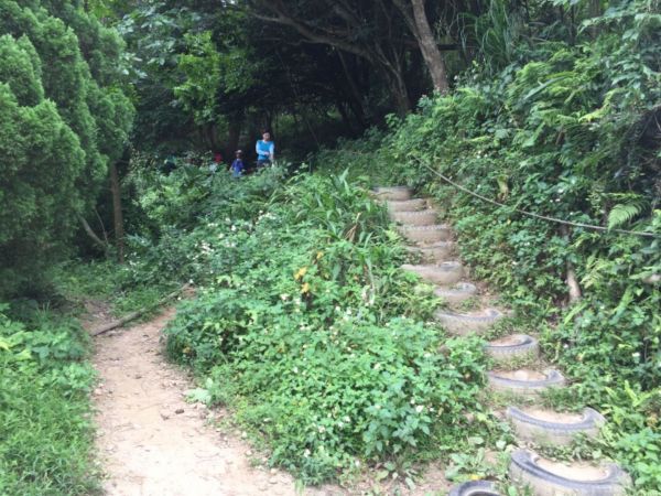 飛鳳山-中坑山-牛欄窩山-石壁潭山326026