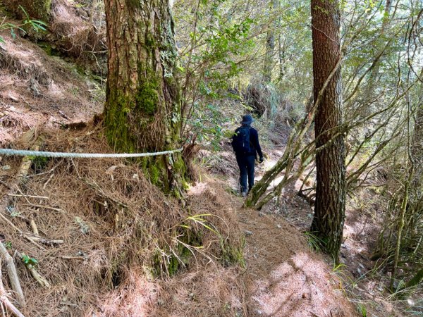 合歡越嶺上卯木山環走觀雲山莊2434024