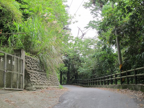 小中嵙登山步道942198