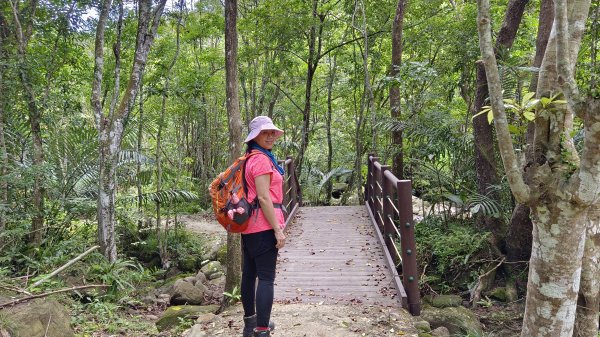 (姨婆趴趴走)第二十一集:桃園復興高遶溪古圳步道、新柑坪山、牛背岩環狀縱走2252300