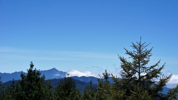 麟趾山。鹿林山1041878