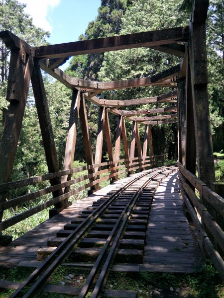 水山巨木步道1692776