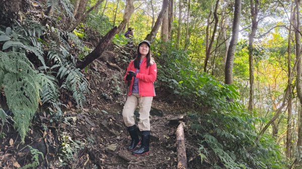 油羅山202503092731882