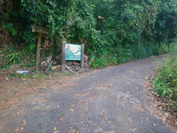 馬那邦山(小百岳編號037)720083