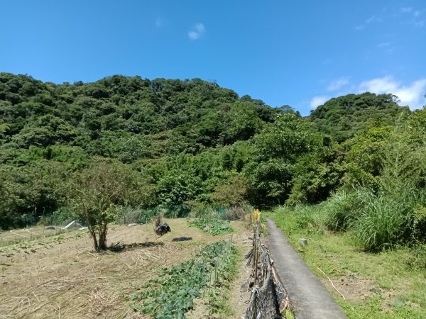 貢寮區文秀坑古道+觀日嶺步道O型2809173