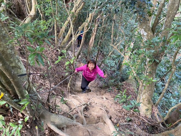 苗栗金童山、玉女山、汶水山2672904