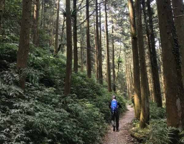 【新聞】50+登山客要注意！ 登山前、中、後都有「保健守則」