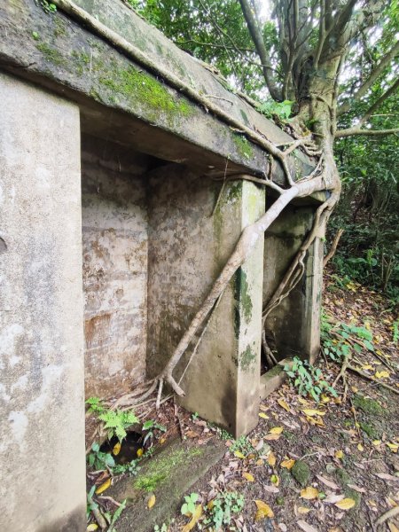 基隆情人湖老鷹岩大武崙-槓子寮2782597