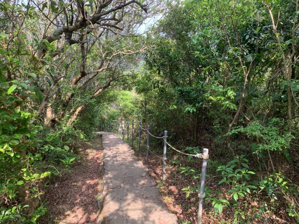 大崙頭尾山親山步道2767188