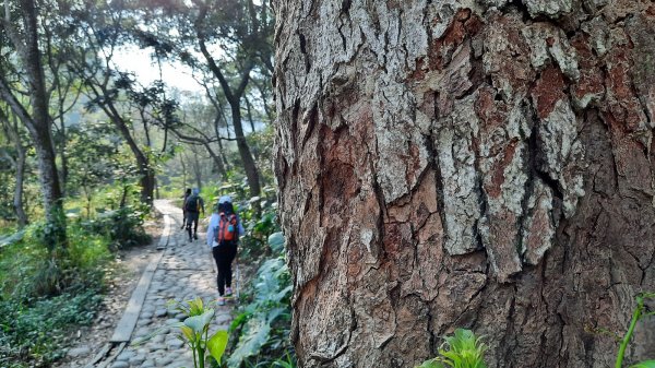 《彰化》社頭18彎古道上橫山＋山湖步道O型202102281287522