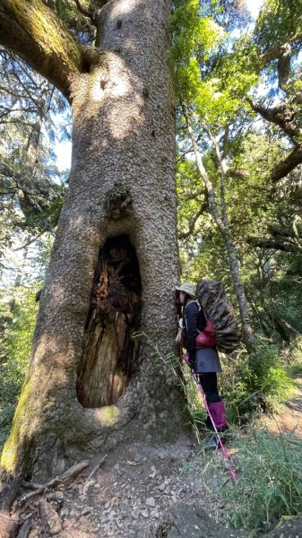 北ㄧ段-審馬陣-南湖北山-南湖北峰-南湖大山-南湖東峰2859111