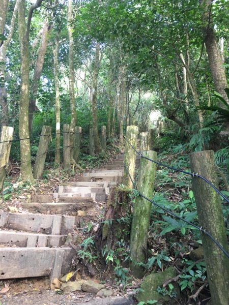 20181026-大凍山初登444957