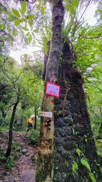 快閃雨中的小觀音山1870003