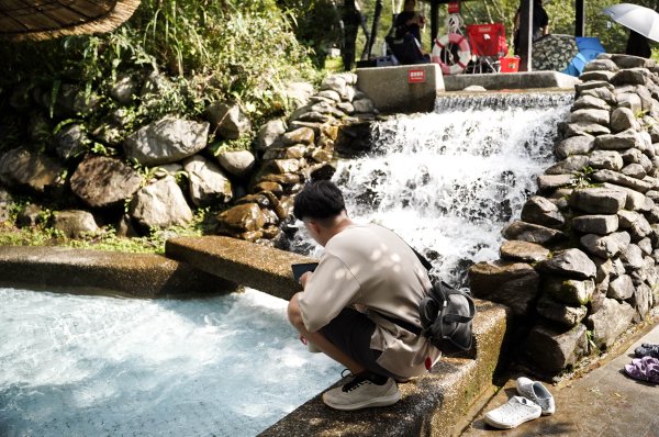 八仙山森林步道2865246