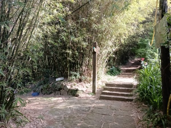 北投區清天宮步道+面天山+向天山+向天池+興福寮步道+頂青礐古道P字走2960027