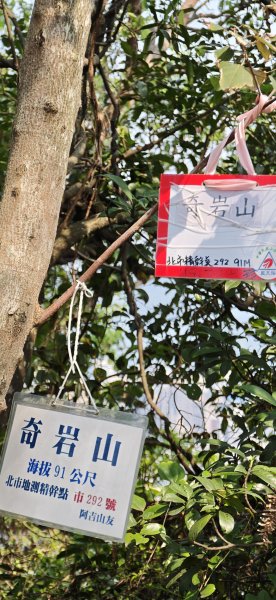 2026-0412 奇岩山_唭哩岸山_丹鳳山_軍艦岩3034871