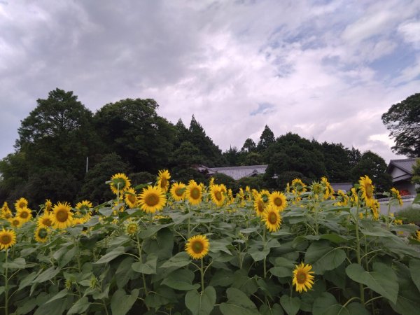 富士山御殿場線~海拔0至37762559123
