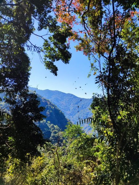 泰安鳥嘴山（上島）2689336