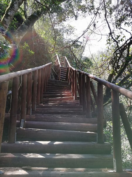 再戰霞喀羅國家步道，養老登山口↹白石吊橋538016
