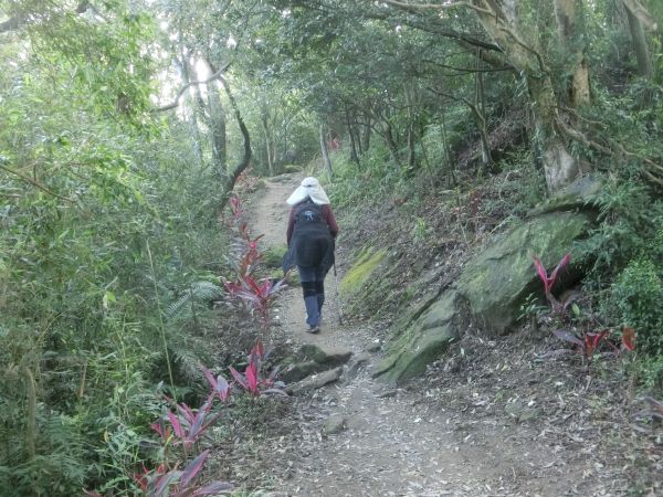 南勢角山．青春嶺231947