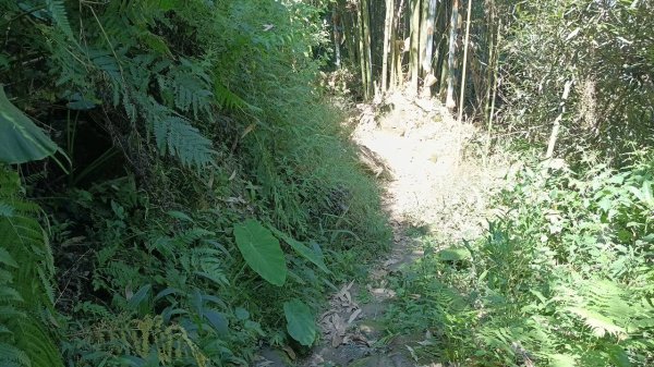 20251004 馬那邦山 - 珠湖 登山口2904892