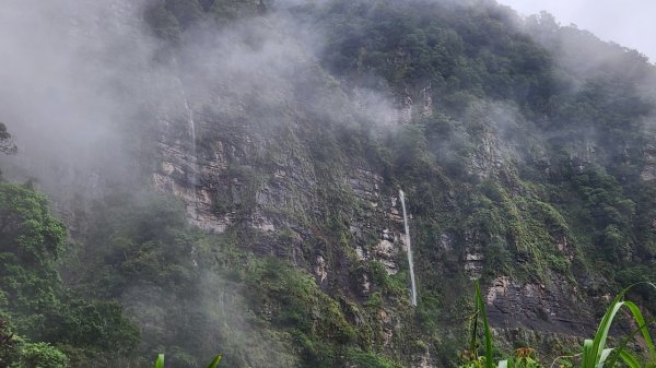 20230730 苗栗加里山午後雷陣雨篇（中級山小百岳）2235172