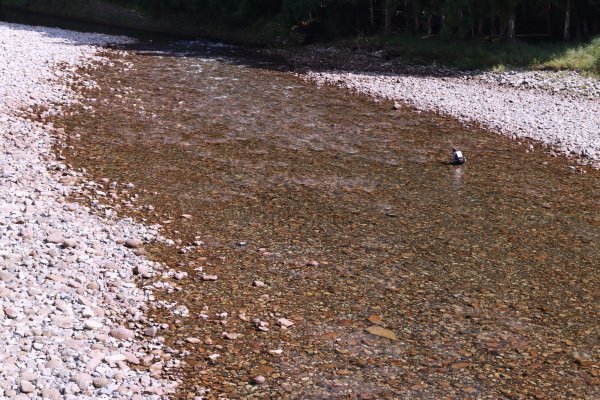 熊野参詣道中辺路：雲取越に祈りは続く2925785