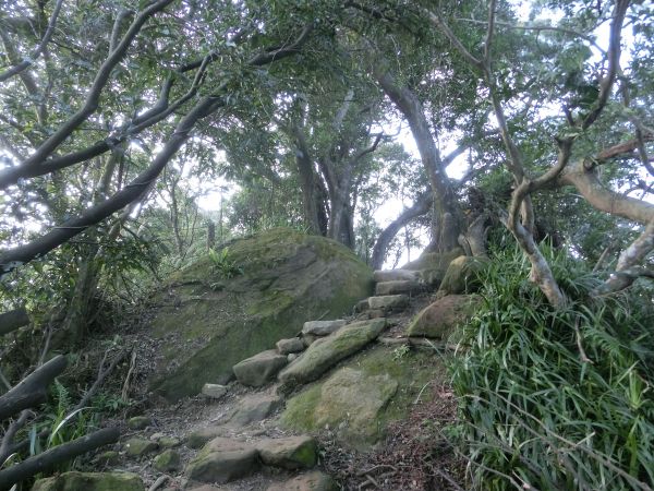 南勢角山．青春嶺231940