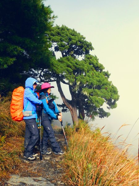 國慶日走雪主東464535