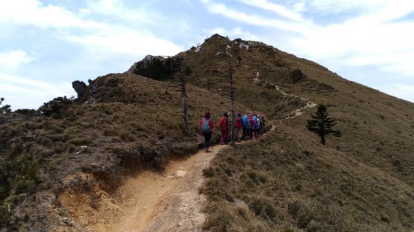 天使之淚嘉明湖+三叉山+向陽山+栗松溫泉313079