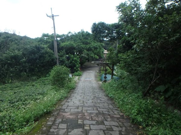 1070614茶山步道3099460