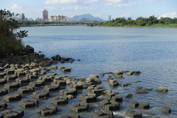 恐龍園區．江翠礫間水岸公園1171209