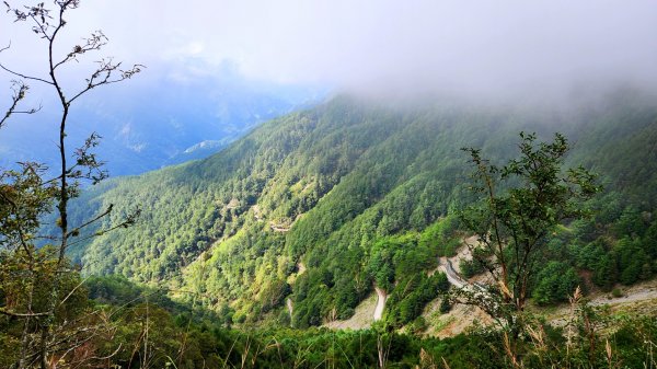 玉山前峰，關子嶺大凍山，宜蘭拳頭姆自然步道2313378